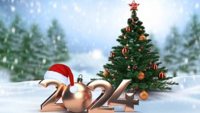 Happy Christmas Wishes, Greetings, Status, Captions, Quotes, Sayings, Messages 2024